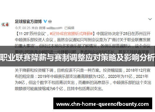 职业联赛降薪与赛制调整应对策略及影响分析