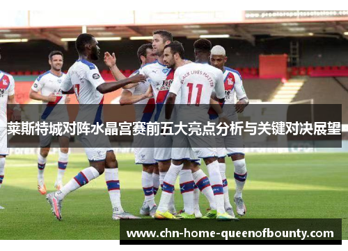 莱斯特城对阵水晶宫赛前五大亮点分析与关键对决展望
