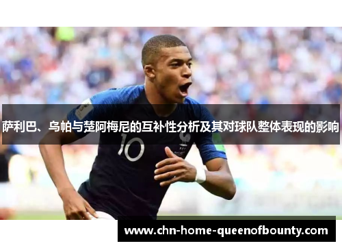 萨利巴、乌帕与楚阿梅尼的互补性分析及其对球队整体表现的影响