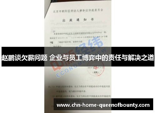 赵鹏谈欠薪问题 企业与员工博弈中的责任与解决之道