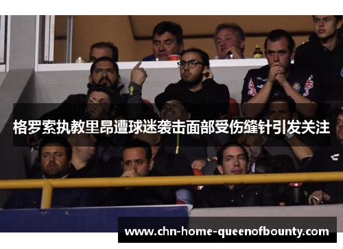 格罗索执教里昂遭球迷袭击面部受伤缝针引发关注 格罗索执教里昂遭球迷袭击面部受伤缝针引发关注