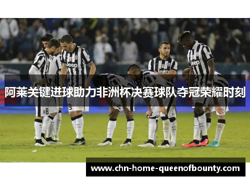 阿莱关键进球助力非洲杯决赛球队夺冠荣耀时刻