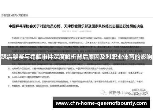 魏震禁赛与罚款事件深度解析背后原因及对职业体育的影响