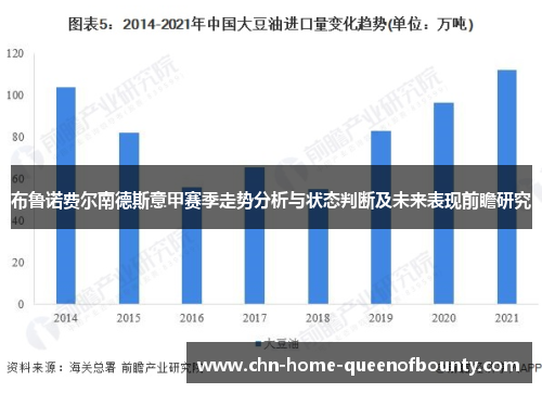 布鲁诺费尔南德斯意甲赛季走势分析与状态判断及未来表现前瞻研究