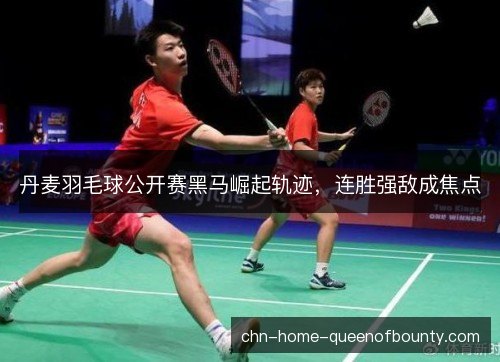 丹麦羽毛球公开赛黑马崛起轨迹，连胜强敌成焦点